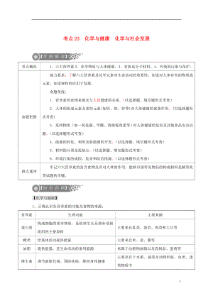 （廣東專版）2017年中考化學(xué)二輪復(fù)習(xí) 考點(diǎn)23 化學(xué)與健康 化學(xué)與社會(huì)發(fā)展學(xué)案（無(wú)答案）