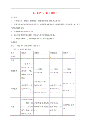 河北省保定市雄縣九年級化學下冊 第11單元 鹽、化肥（第1課時）復習導學案（無答案）（新版）新人教版