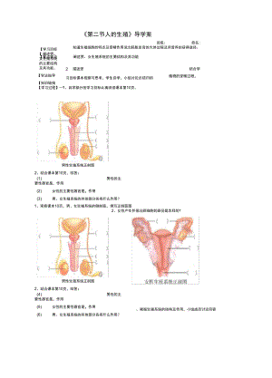 《第二節(jié)人的生殖》導(dǎo)學(xué)案