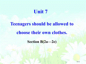 Teenagers should be allowed to choose their own clothes. 市公开课一等奖省优质课获奖课件
