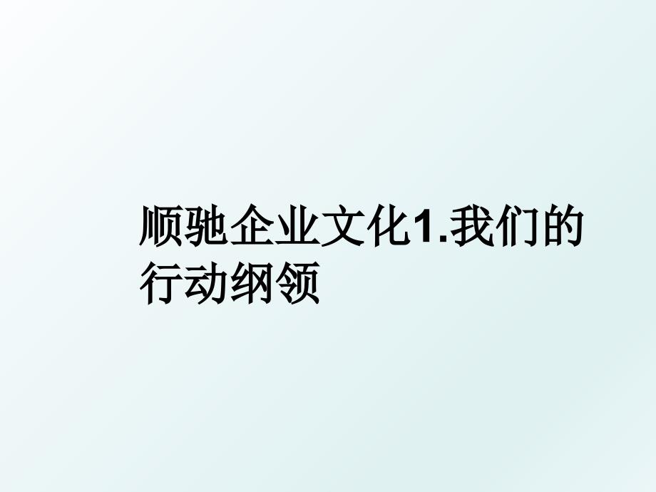 顺驰企业文化1.我们的行动纲领_第1页