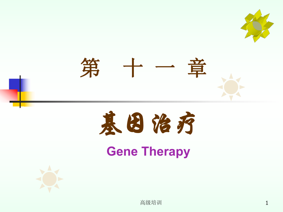 基因治疗含基因治疗中外源基因导入技术【优质内容】_第1页
