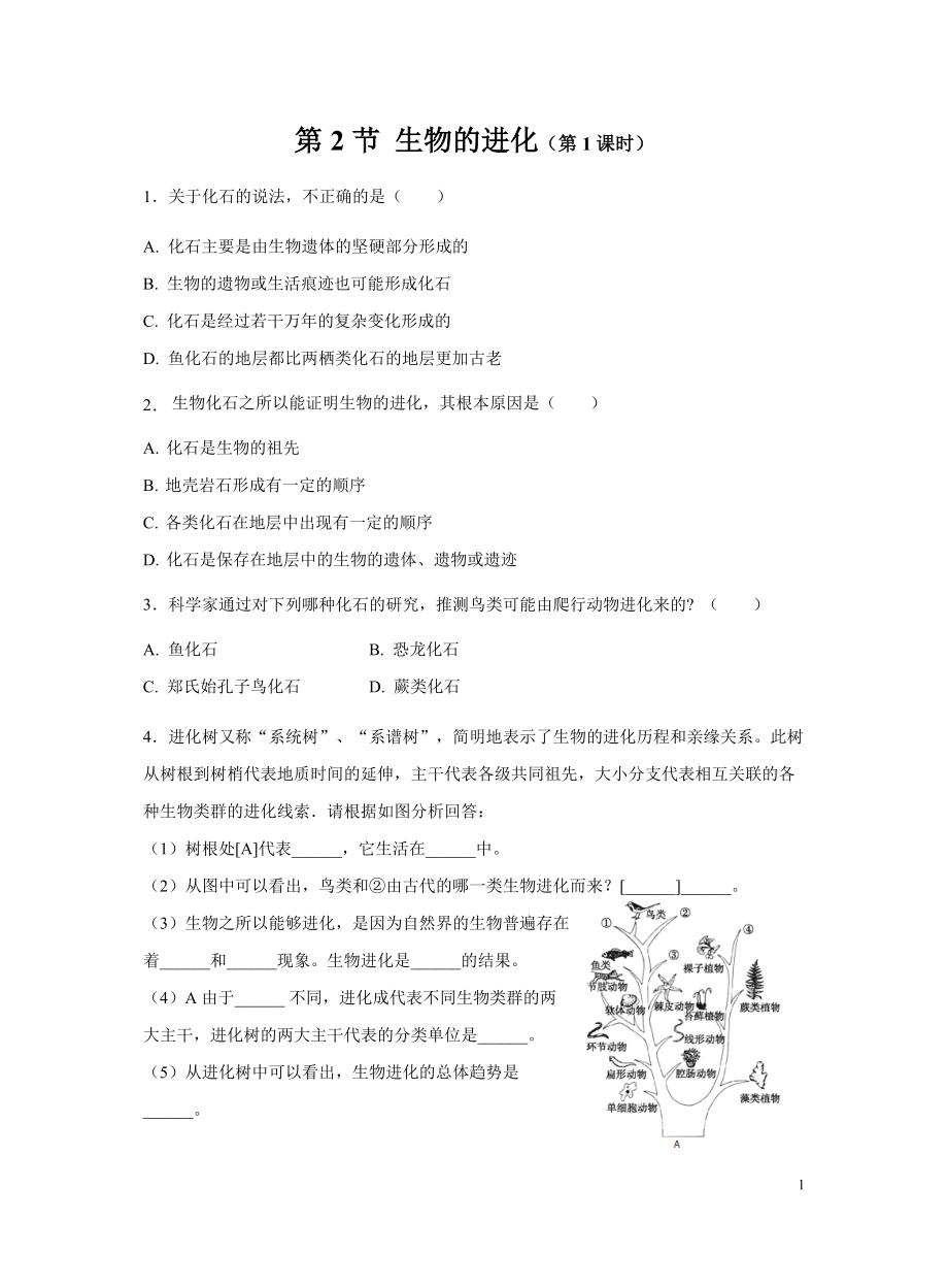 北师大版八年级下册 第2节 生物的进化（第1课时） 同步测试_第1页