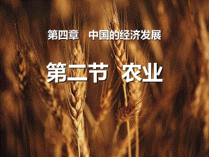 《农业》中国的经济发展课件
