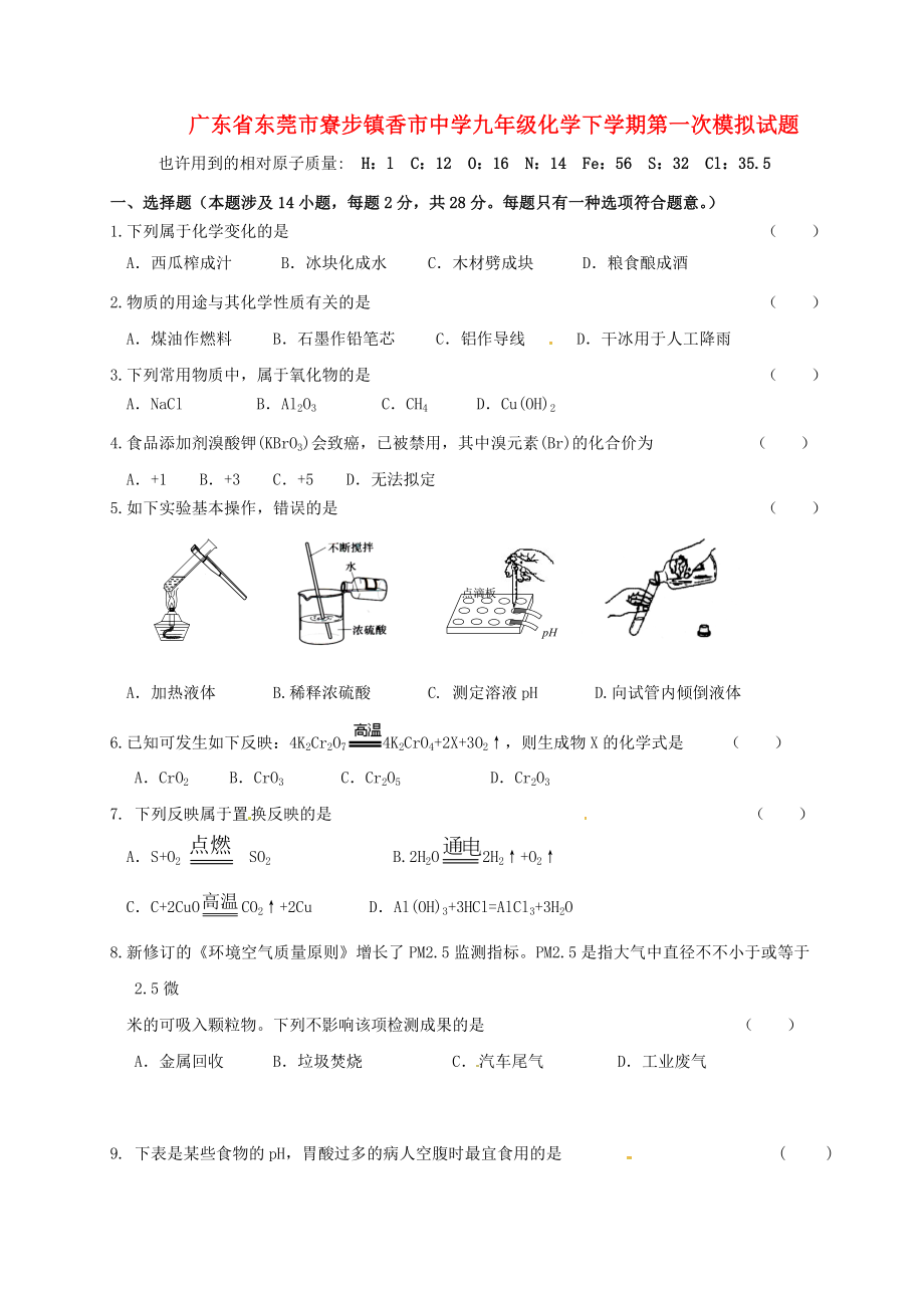 广东省东莞市寮步镇香市中学九年级化学下学期第一次模拟试题_第1页