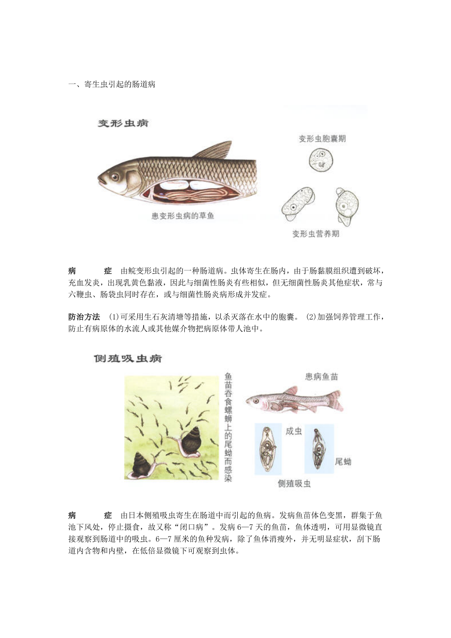 常见淡水鱼病彩色图谱(共32页)_第1页