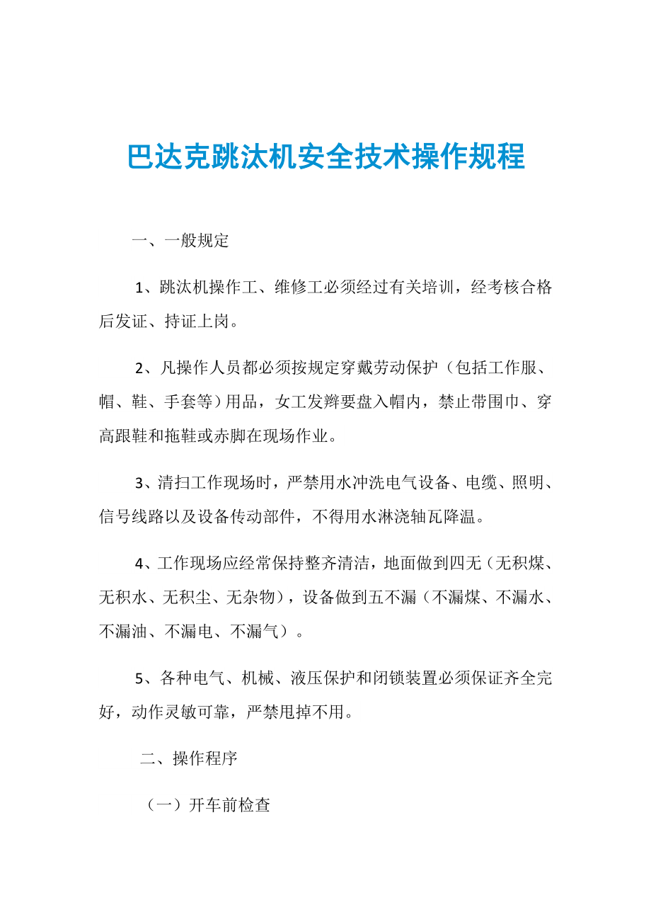 巴达克跳汰机安全技术操作规程_第1页