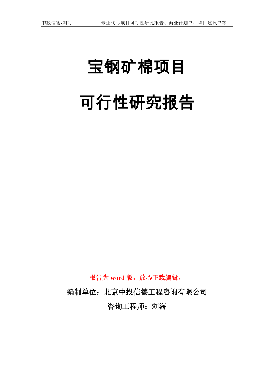 宝钢矿棉项目可行性研究报告模板_第1页