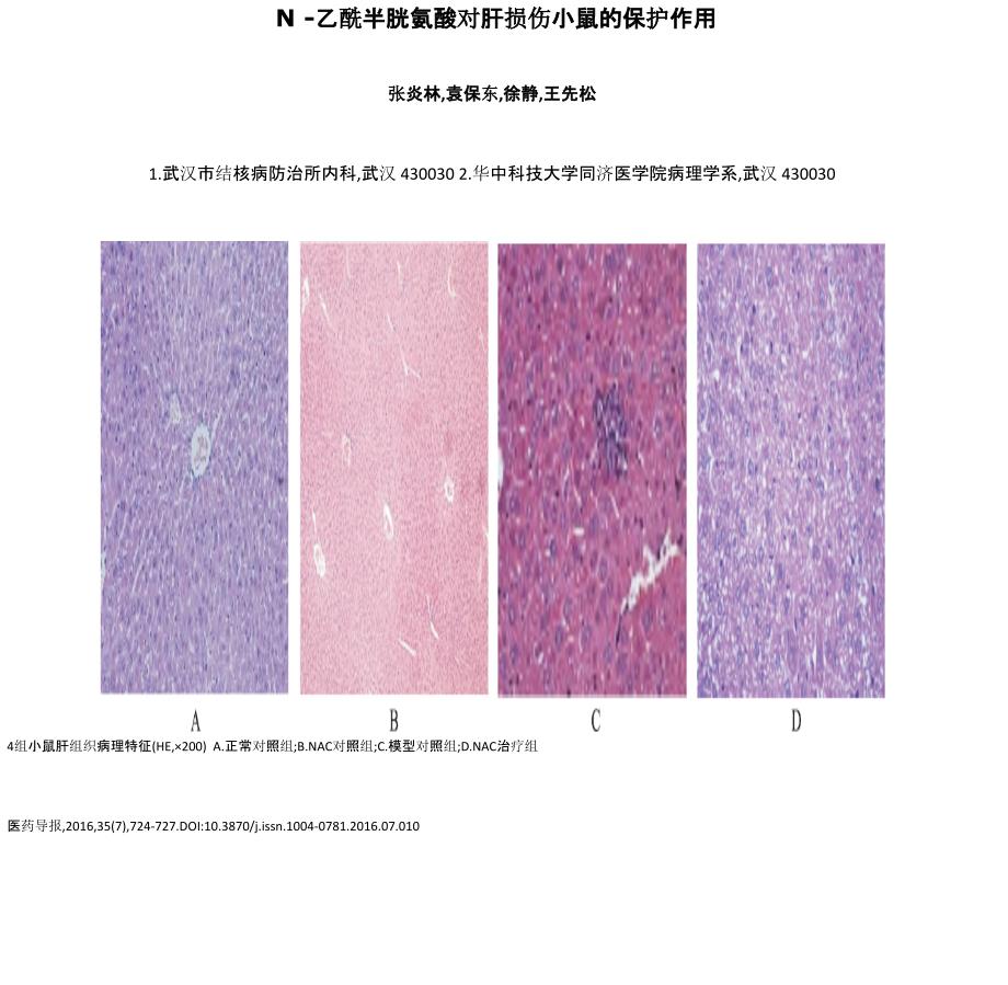 N-乙酰半胱氨酸对肝损伤小鼠的保护作用_第1页