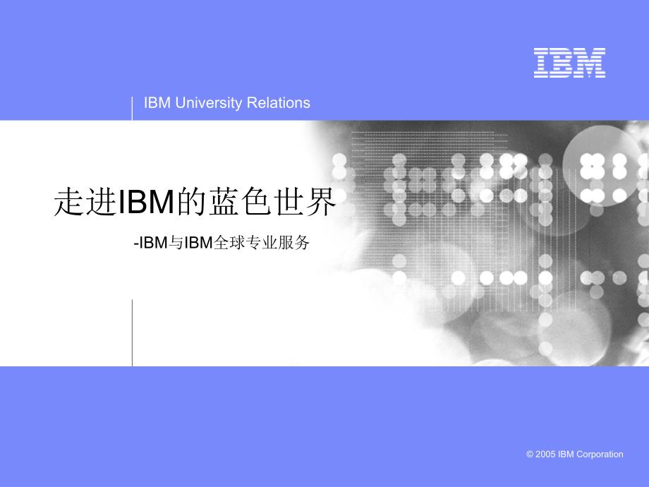 走进IBM的蓝色世界-IBM与IBM全球专业服务_第1页