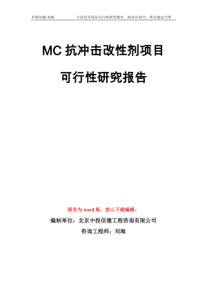 MC抗冲击改性剂项目可行性研究报告模板