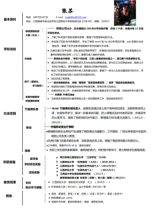 简历2文字线条一页求职履历表