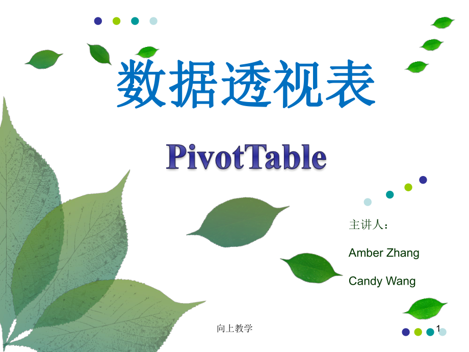 數(shù)據(jù)透視表_PPT初稿【竹菊書苑】_第1頁