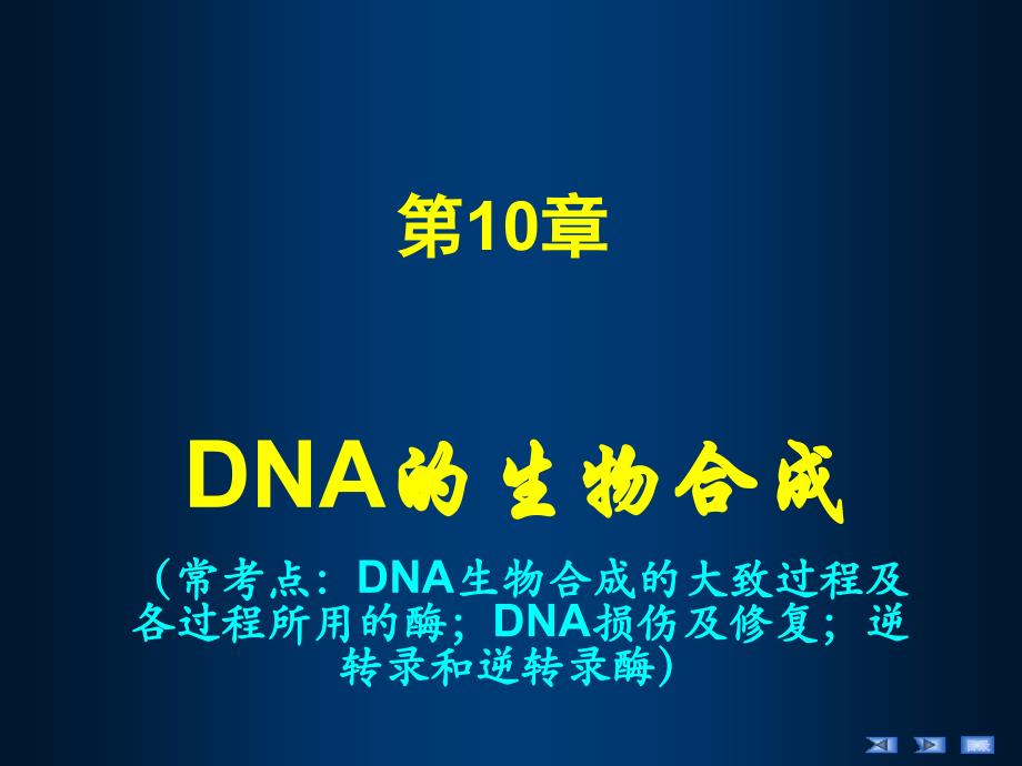 DNA的生物合成9课件_第1页