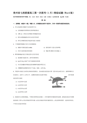 贵州省七校联盟高三第一次联考