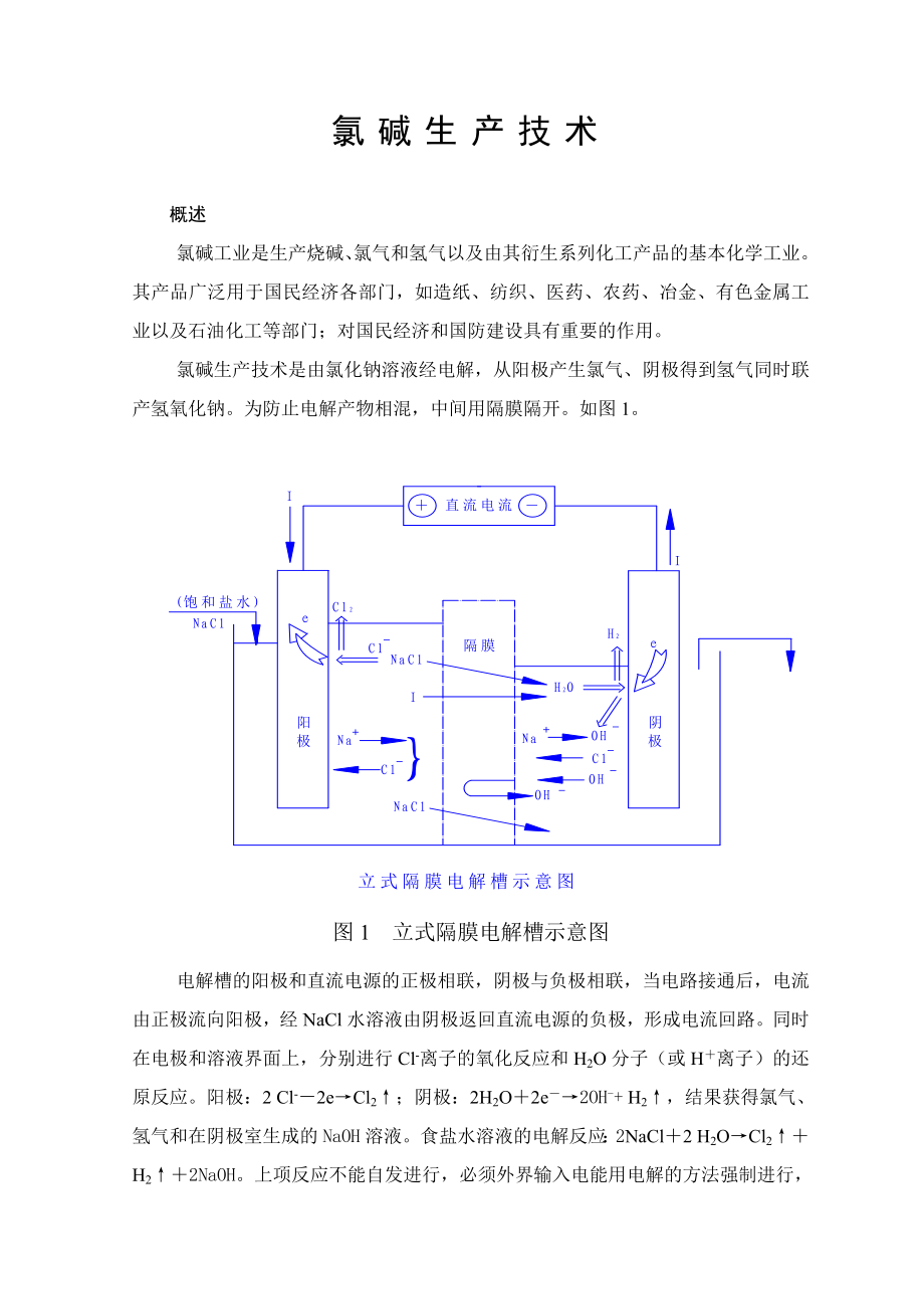 氯碱生产技术(共55页)_第1页