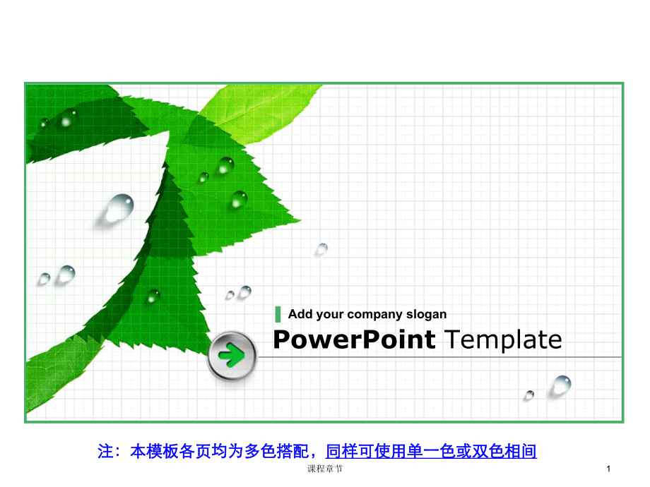 PPT(超多目錄模版)【課堂優(yōu)講】_第1頁