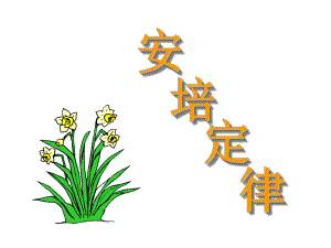 安培定律及應(yīng)用【教學(xué)類別】