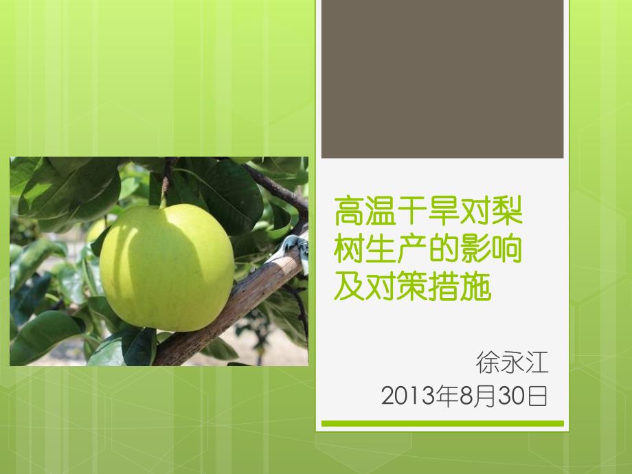 高温干旱对梨树生产的影响及对策措施课件_第1页