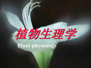植物生理学绪论ppt课件