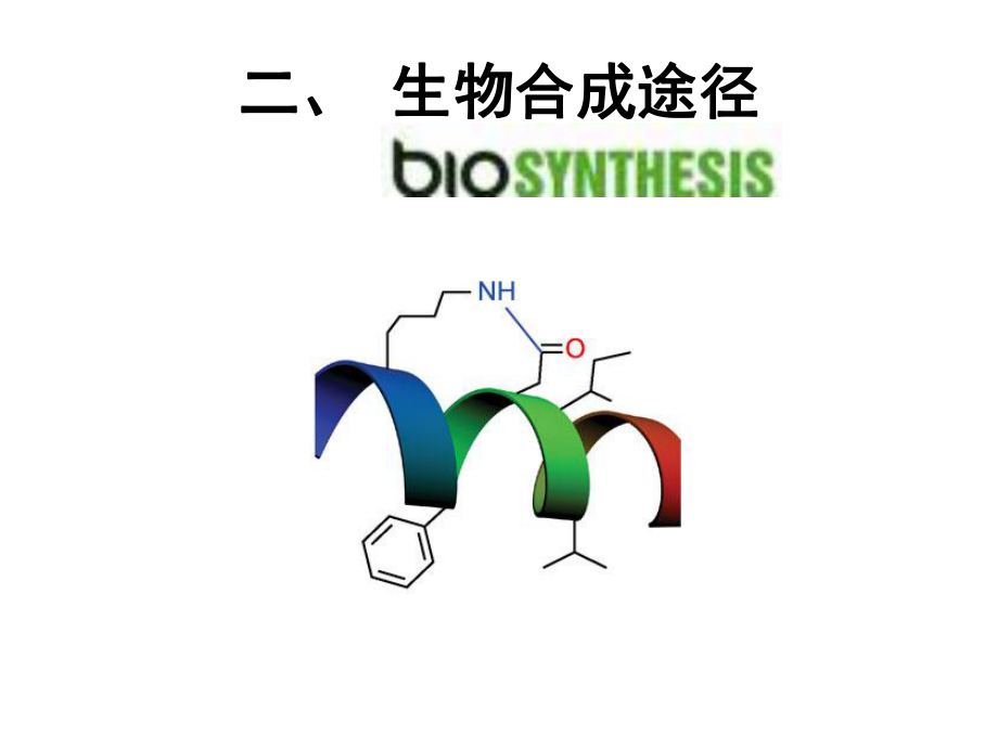 3 生物合成途徑【課堂使用】_第1頁