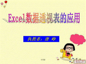 Excel數(shù)據(jù)透視表的應(yīng)用(課件)【教學(xué)類別】