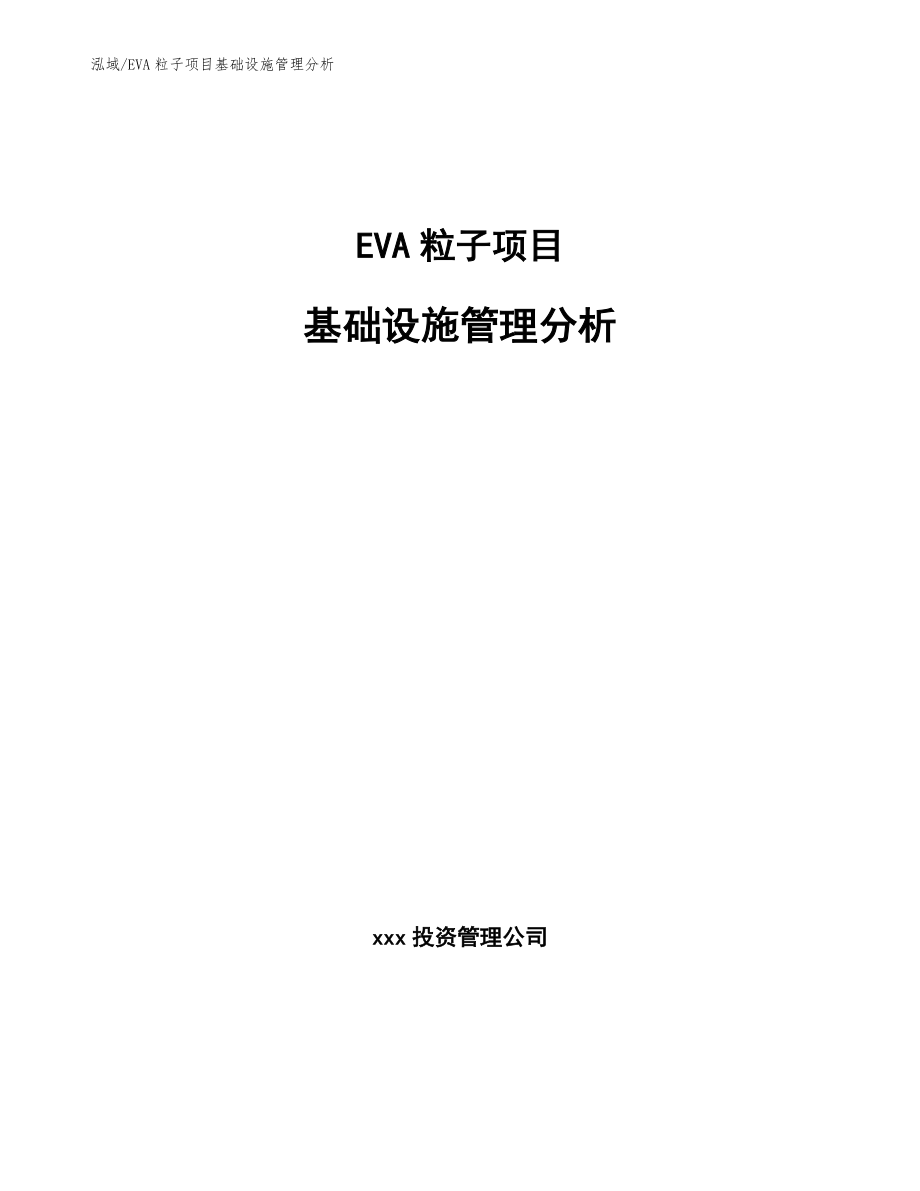 EVA粒子项目基础设施管理分析（参考）_第1页