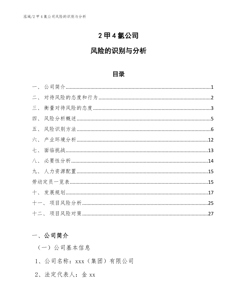 2甲4氯公司风险的识别与分析（参考）_第1页