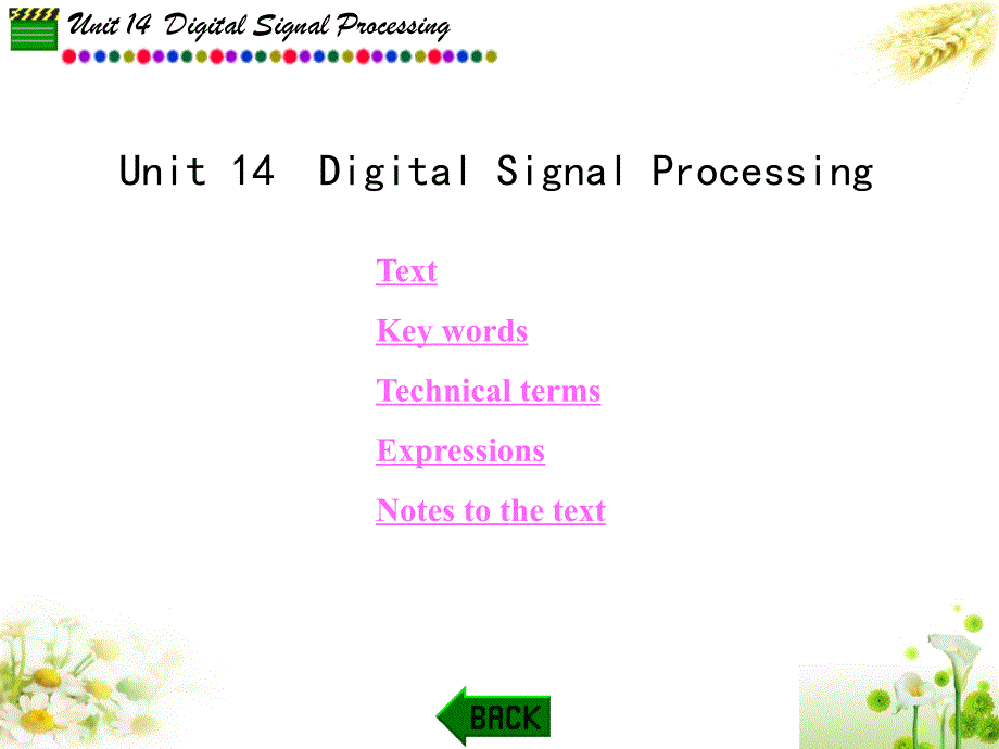 电子信息类专业英语Unit14DigitalSignalProcessing课件_第1页