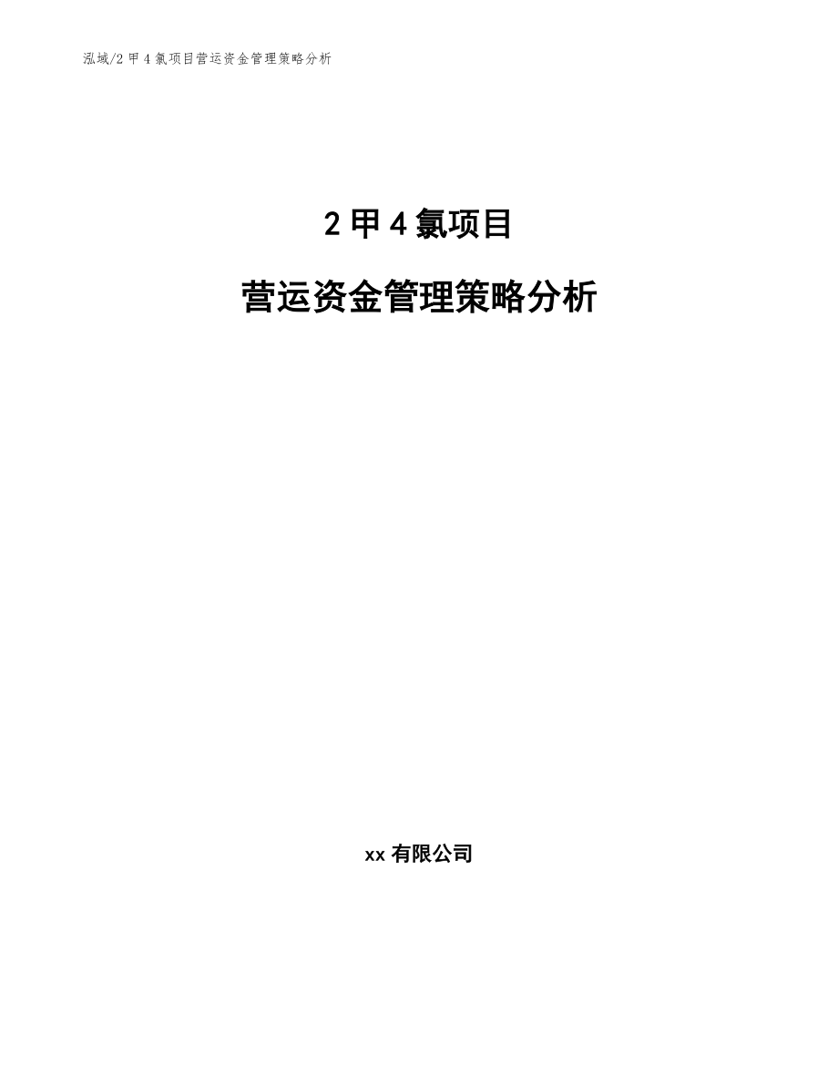 2甲4氯项目营运资金管理策略分析（范文）_第1页