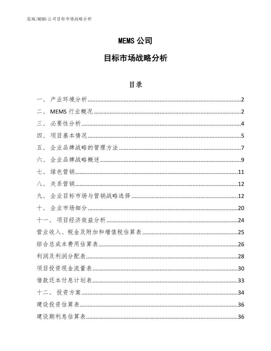 MEMS公司目标市场战略【参考】_第1页