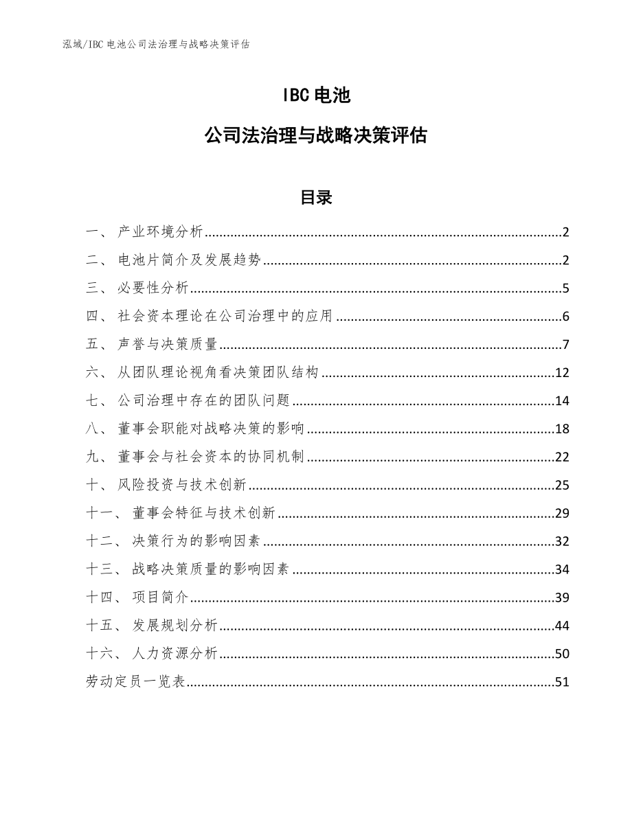 IBC电池公司法治理与战略决策评估（参考）_第1页