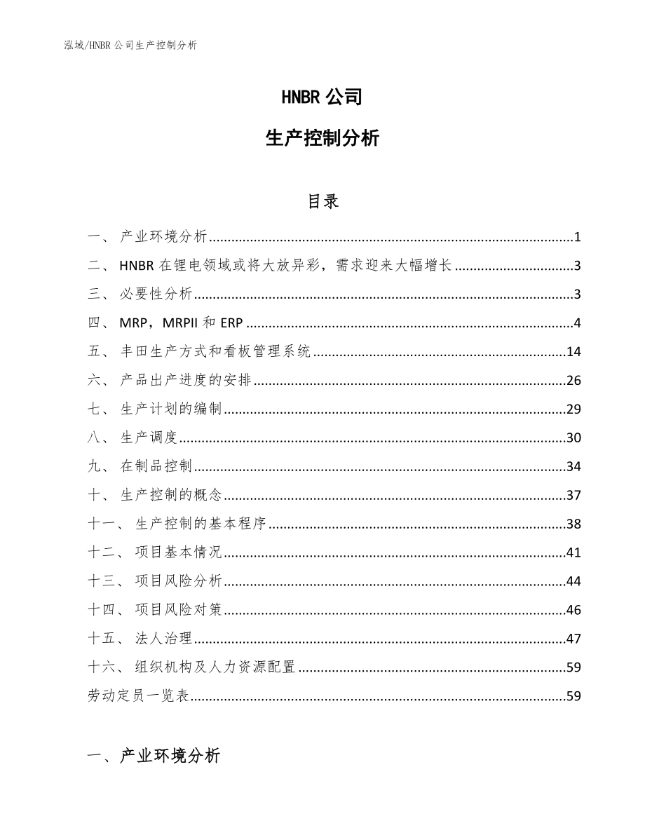 HNBR公司生产控制分析_第1页