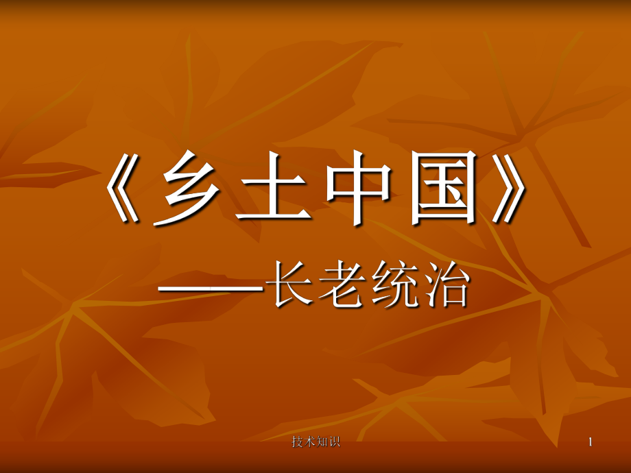 《鄉(xiāng)土中國》之長老統(tǒng)治【特制材料】_第1頁