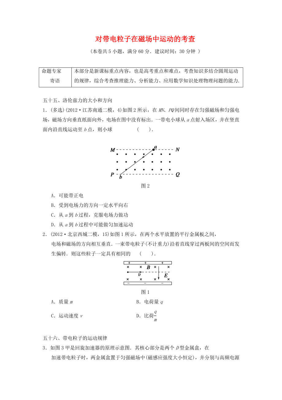 2013届高三物理二轮冲刺《对带电粒子在磁场中运动的考查》知识点专练练习（30分钟含详解）_第1页