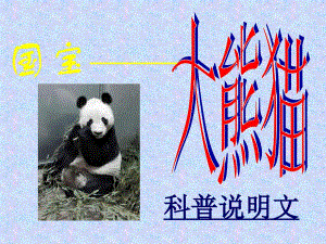 国宝大熊猫 (2)