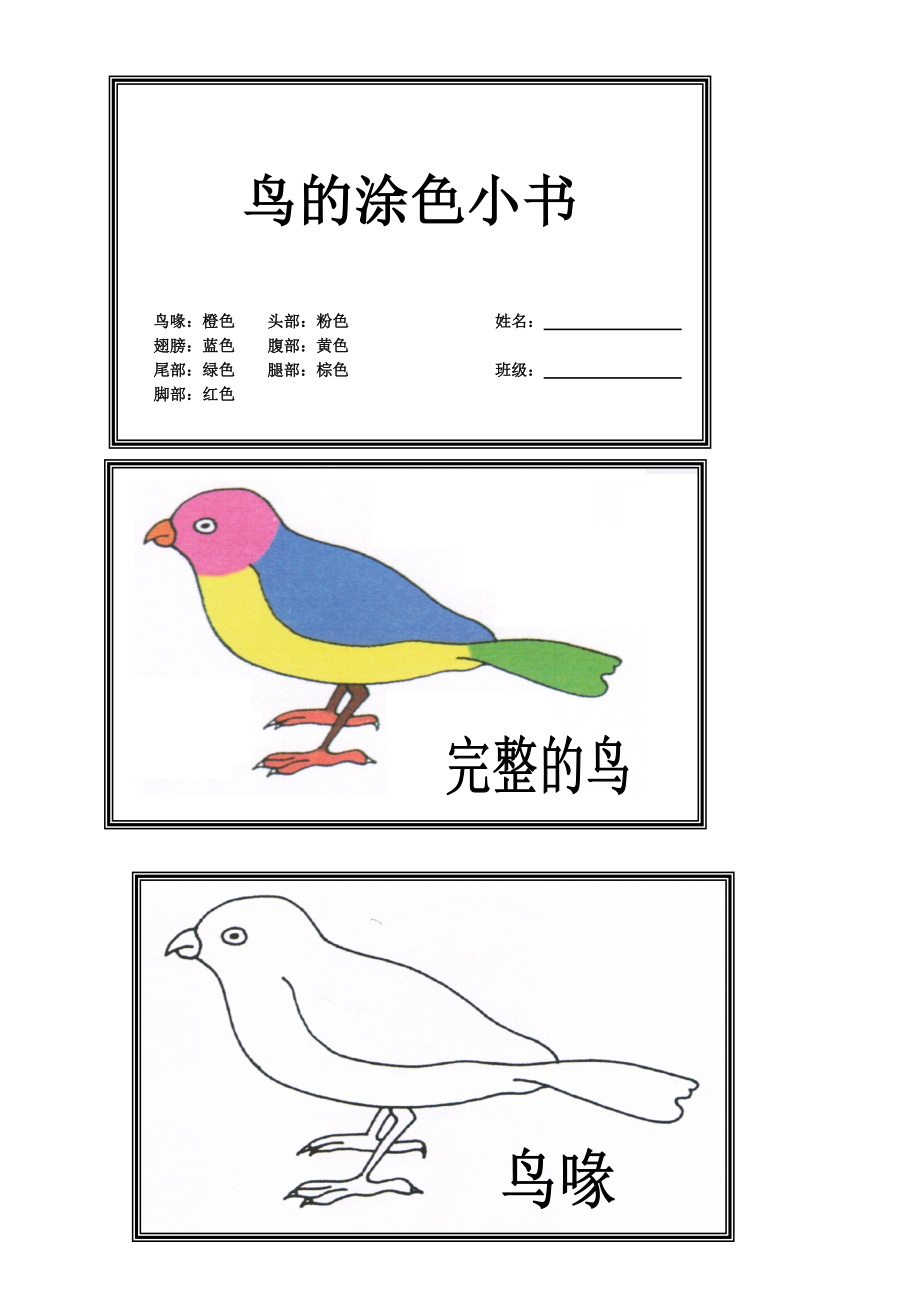 鸟的涂色小书作业_第1页