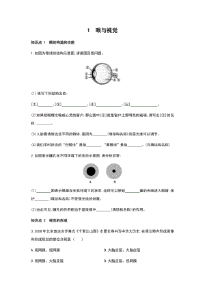 华师大版科学八年级下册同步课时训练：3.1　眼与视觉（含答案）