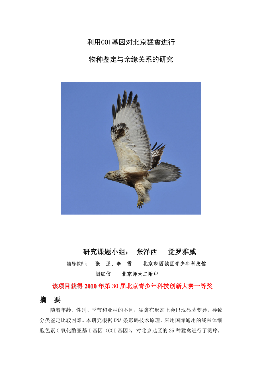 利用COI基因对北京猛禽进行_第1页