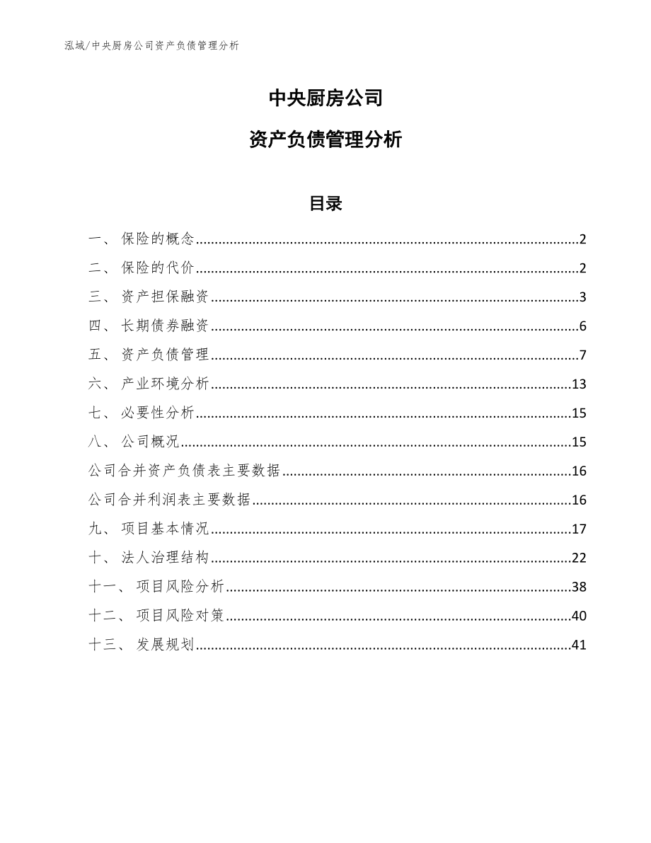 中央厨房公司资产负债管理分析_第1页