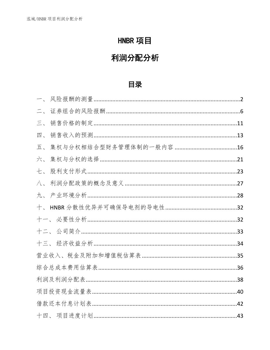 HNBR项目利润分配分析_第1页