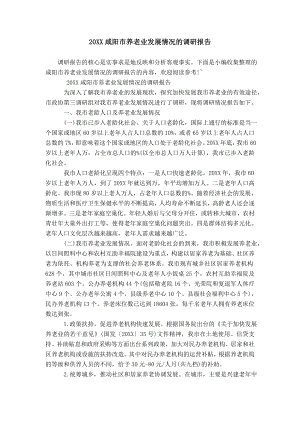 20XX咸阳市养老服务业发展情况的调研报告模板