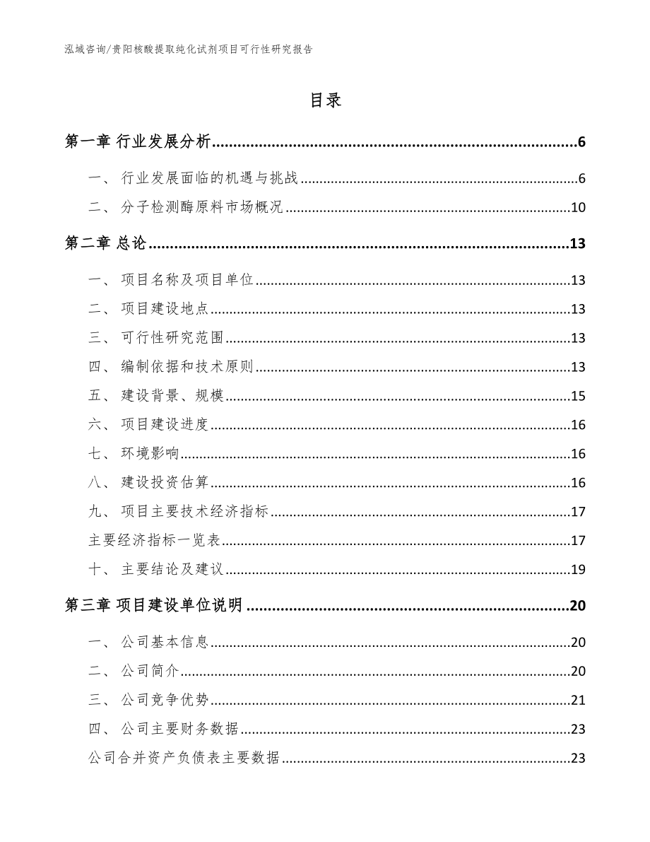 贵阳核酸提取纯化试剂项目可行性研究报告【参考模板】_第1页