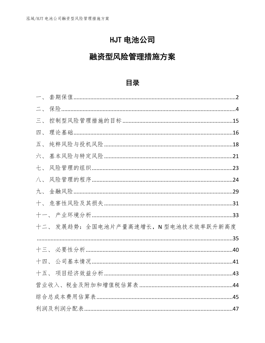 HJT电池公司融资型风险管理措施方案（范文）_第1页