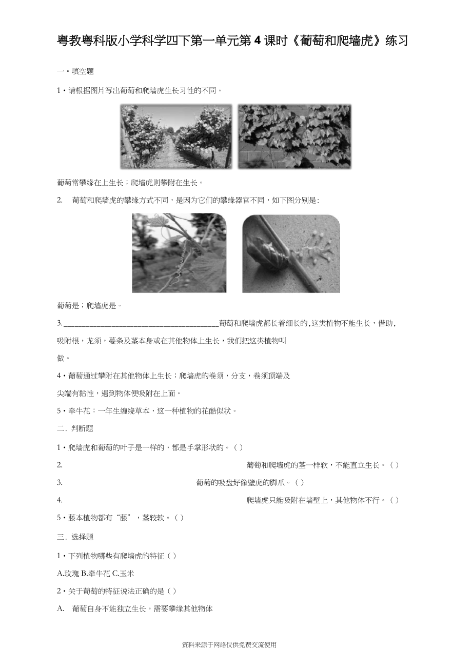 (新教材)粵教粵科版四年級下冊科學(xué) 第4課 葡萄和爬墻虎 課時練(同步練習(xí))_第1頁