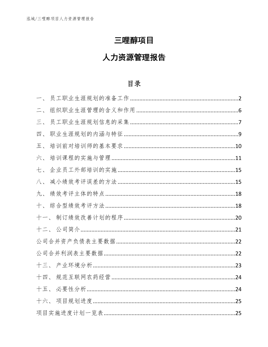 三哩醇项目人力资源管理报告（范文）_第1页