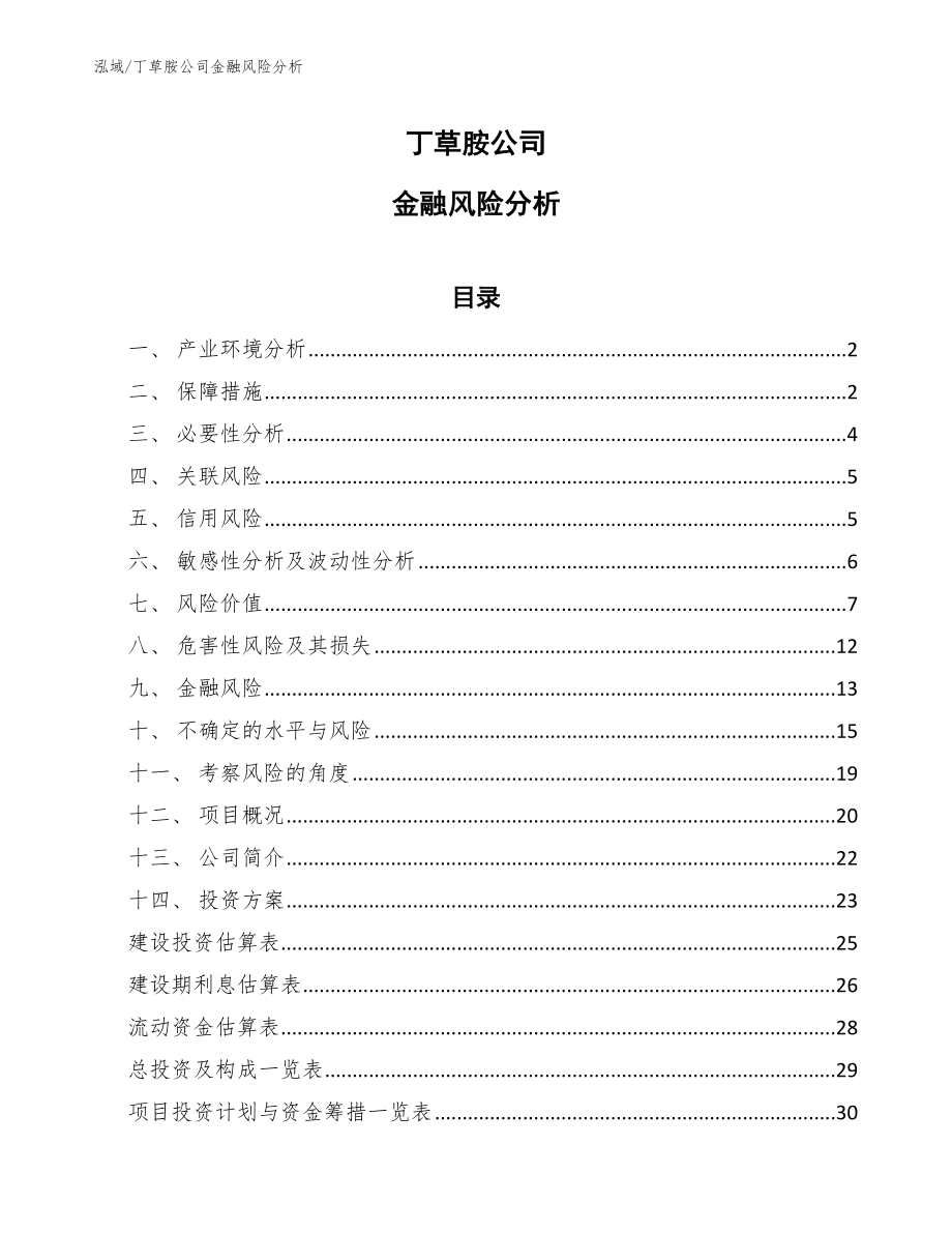 丁草胺公司金融风险分析_范文_第1页