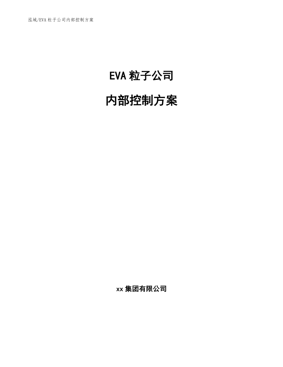 EVA粒子公司内部控制方案_参考_第1页