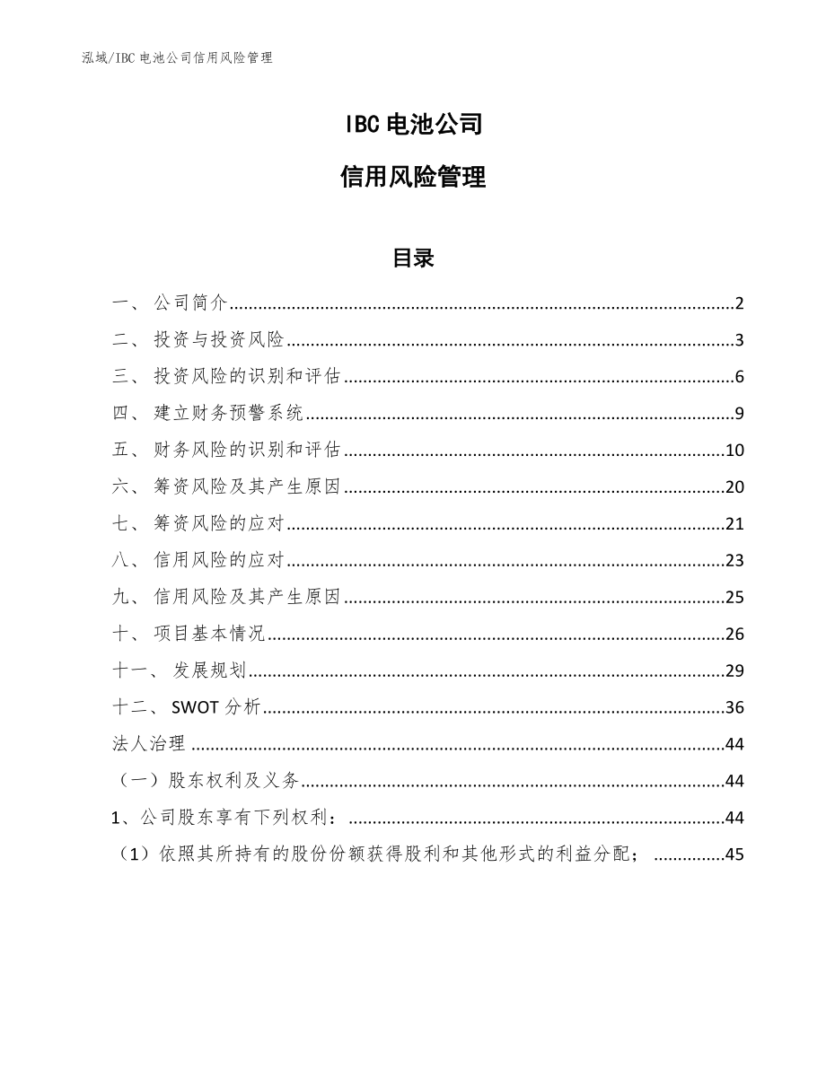 IBC电池公司信用风险管理【参考】_第1页