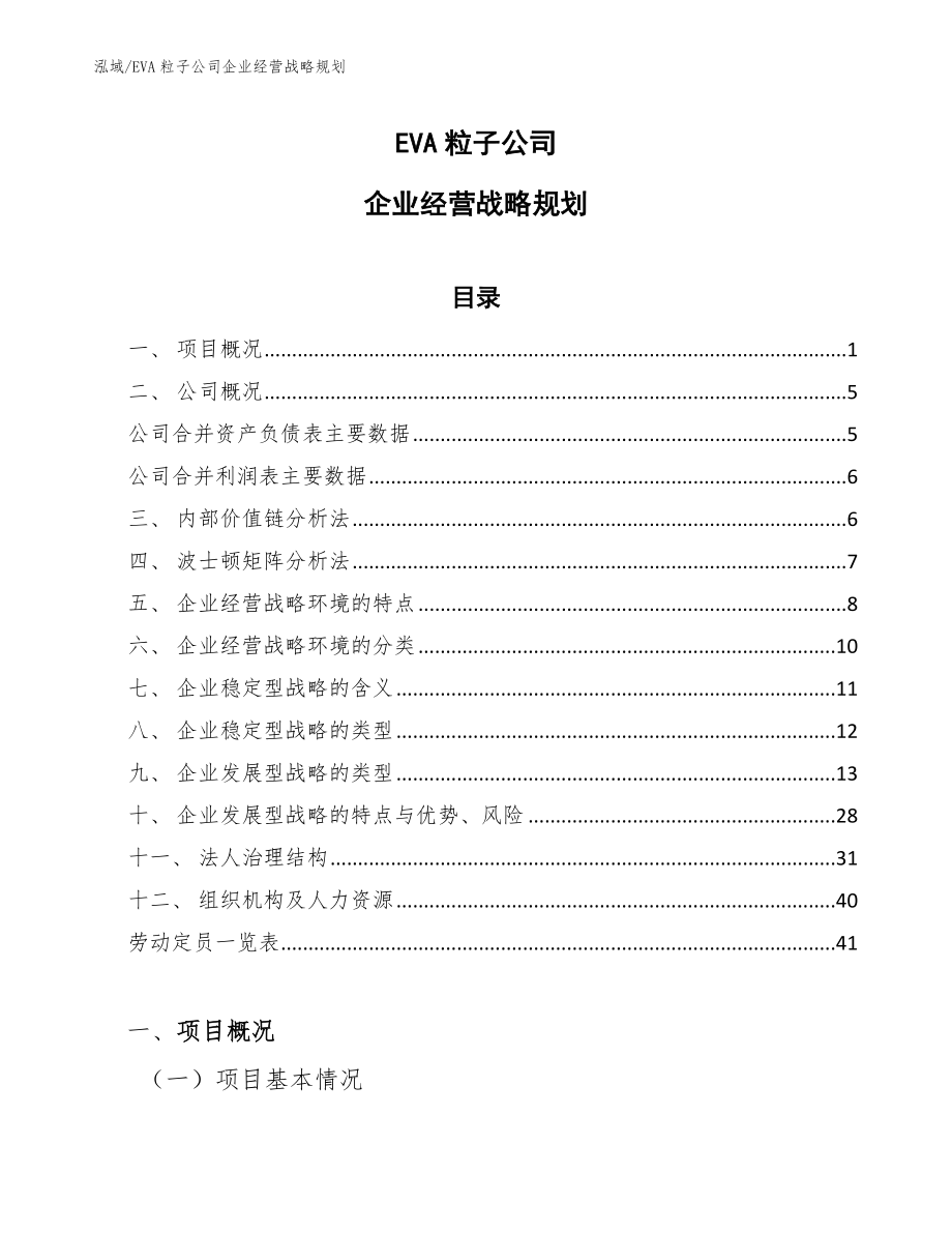 EVA粒子公司企业经营战略规划_范文_第1页